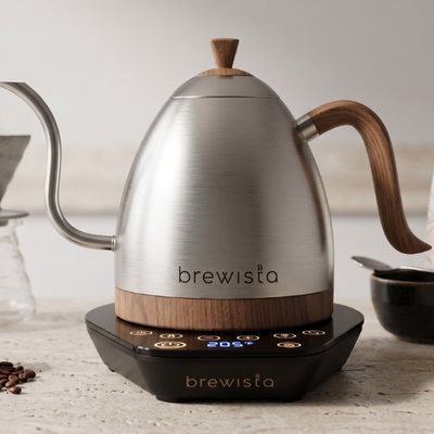 Artisan Electric Gooseneck Kettle
